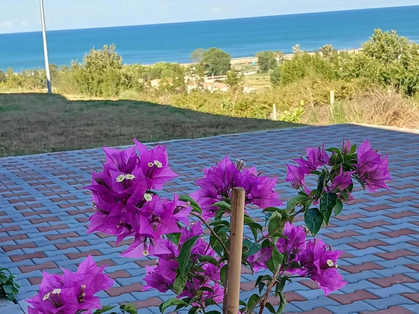 Sol Gjiri Lalzit